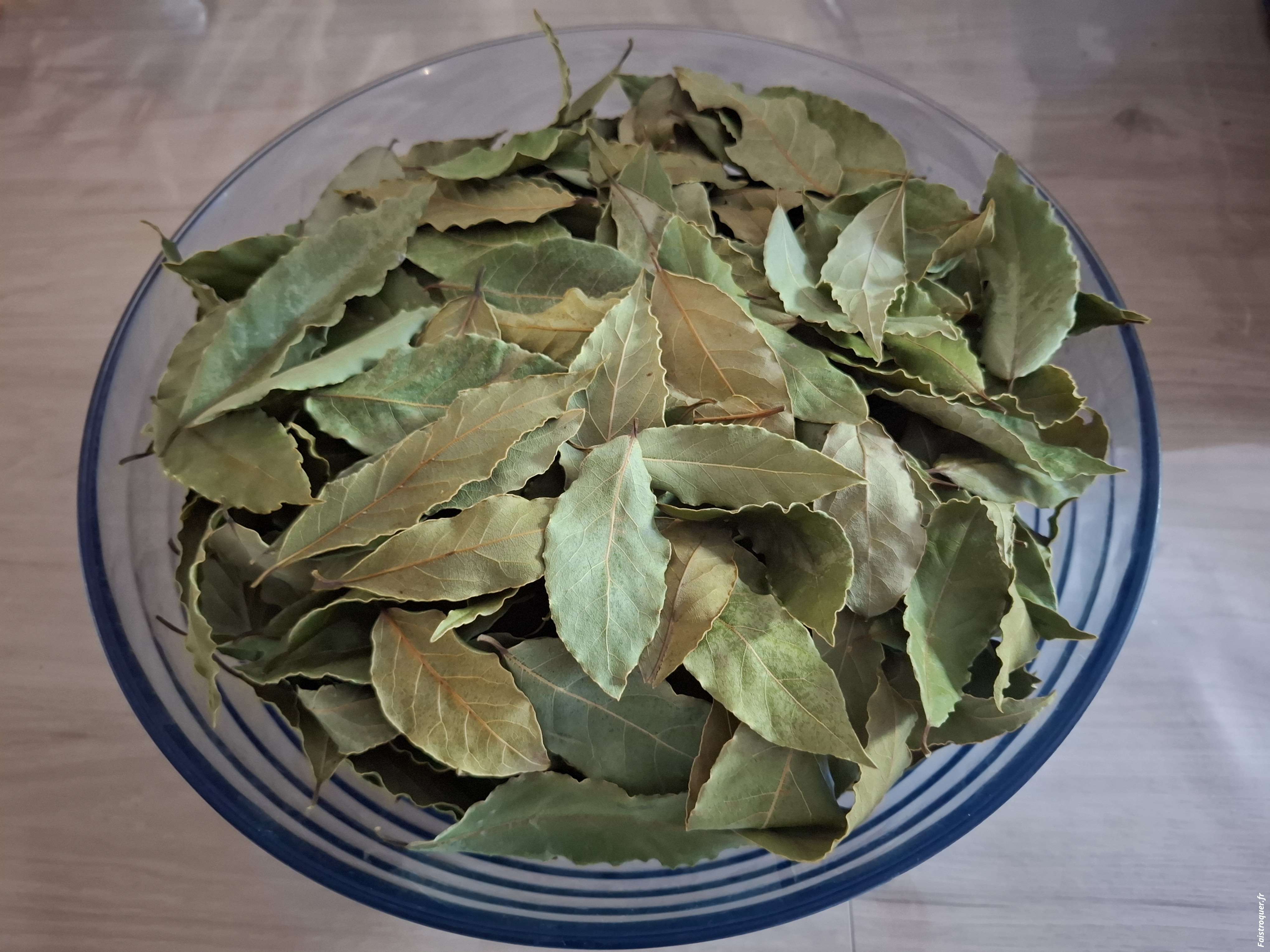 Vends feuilles de Laurier-sauce