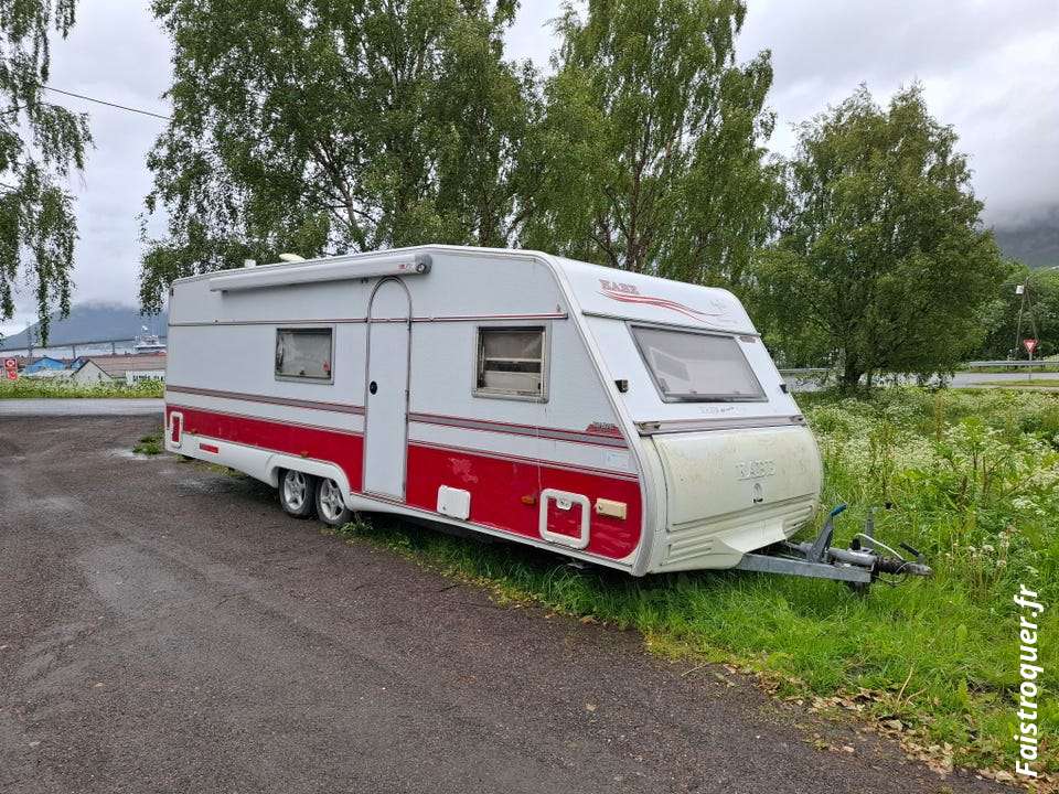 delphinhansern