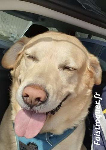 Benito