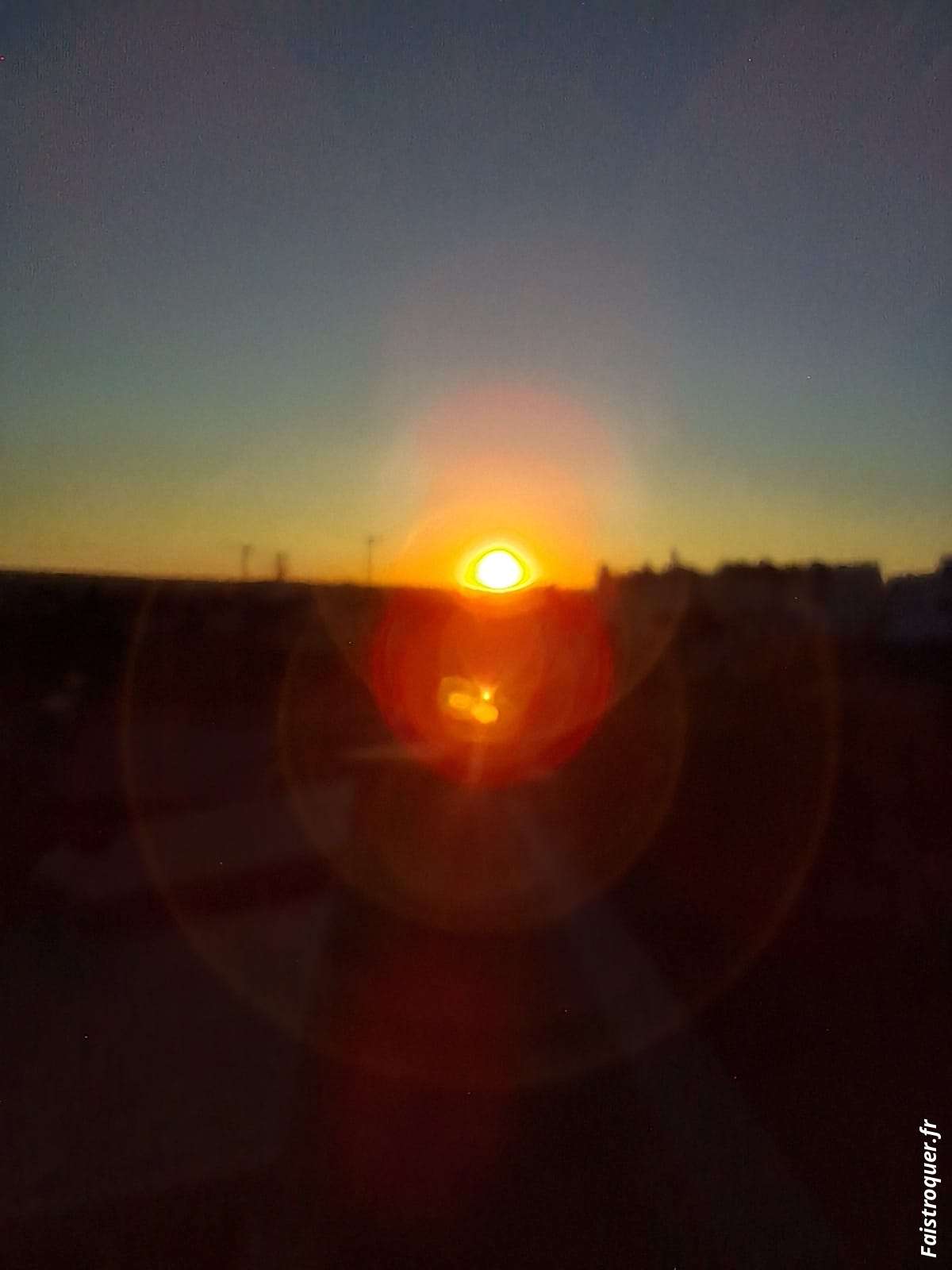 SunnyXVI1